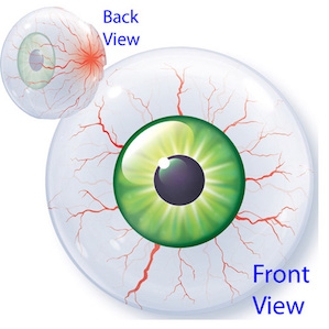 TEyeball Shaped Bubble Balloon